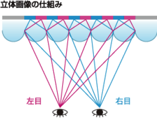 立体画像の仕組み